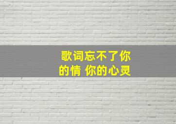 歌词忘不了你的情 你的心灵